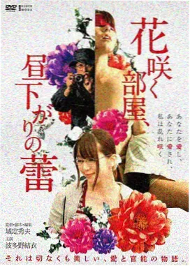 白蛇2青蛇劫起